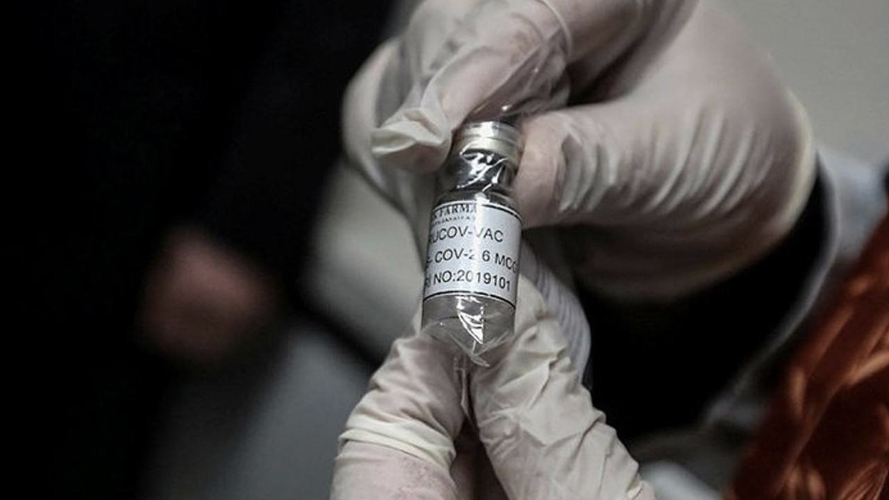TURKOVAC aşısından müjdeli haber geldi: Olumlu sonuçlar var