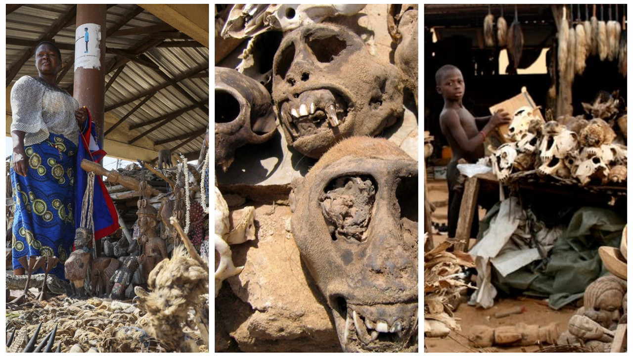 Togo'da dünyanın en ürkütücü pazarı: Akodessewa Pazarı