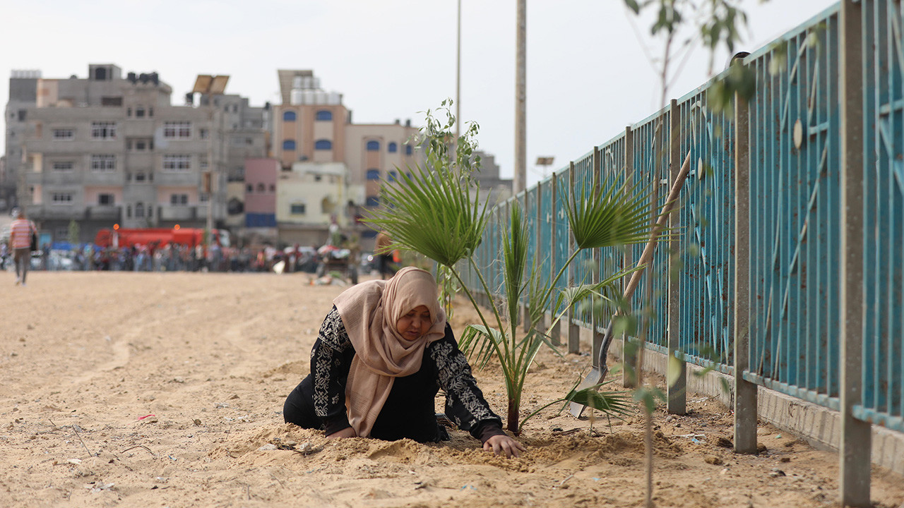 Gazze'de İsrail saldırılarında öldürülen çocuklar için ağaç dikme kampanyası