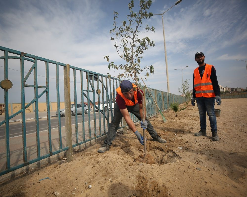 Gazze'de İsrail saldırılarında öldürülen çocuklar için ağaç dikme kampanyası - Sayfa 2