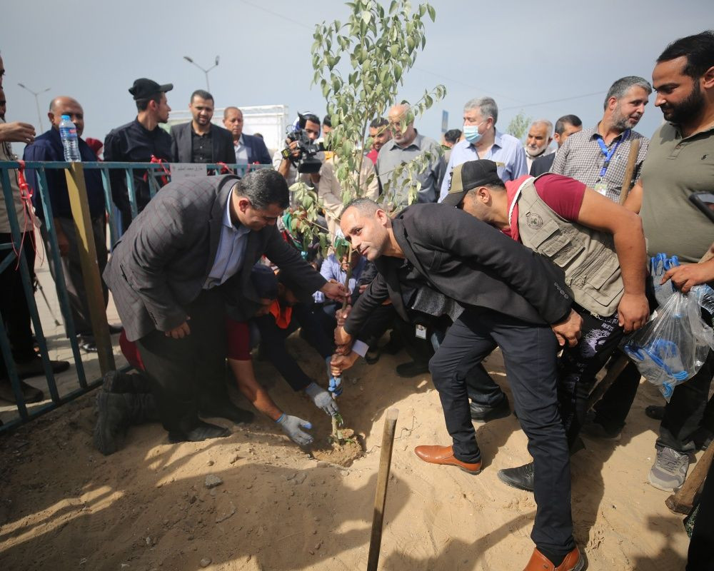 Gazze'de İsrail saldırılarında öldürülen çocuklar için ağaç dikme kampanyası - Sayfa 4