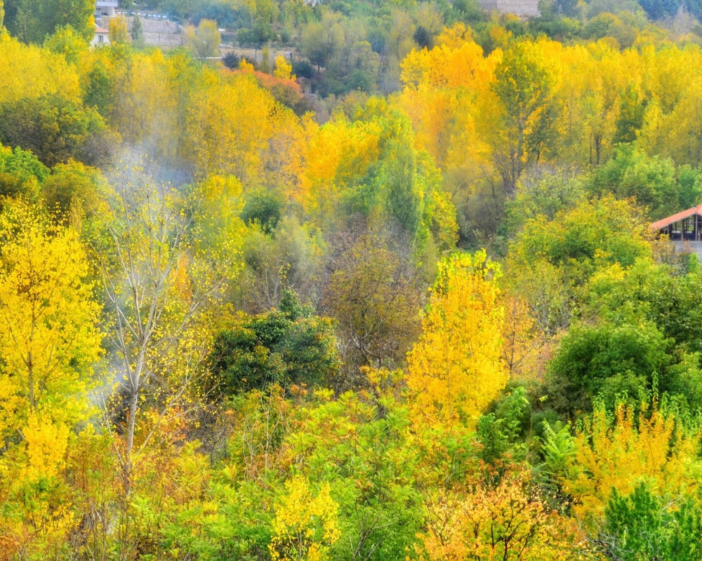  Malatya'daki kayısı bahçeleri sonbaharda fotoğraf tutkunları için doğal bir plato haline geldi