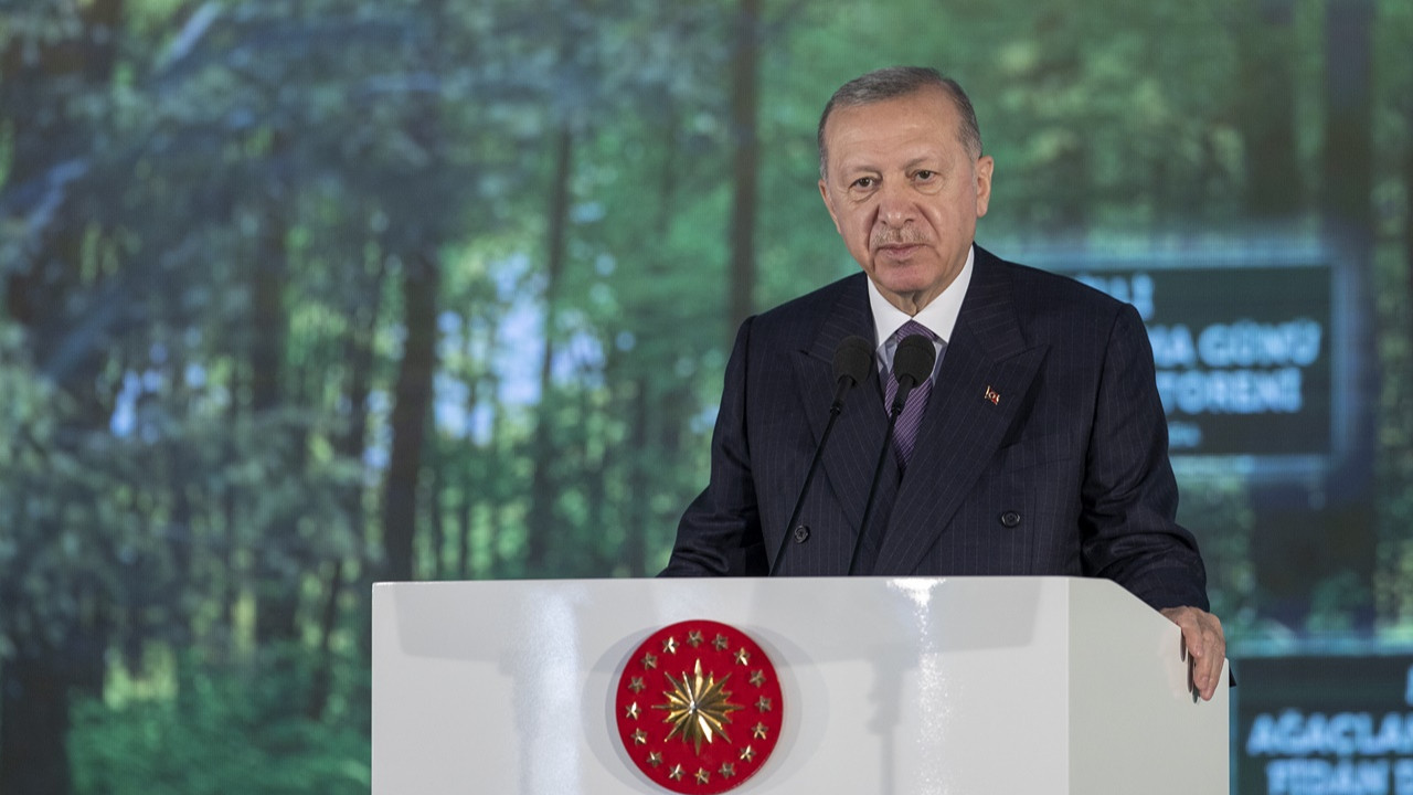 Erdoğan: Tarihimizin en büyük ağaçlandırma seferberliğini yürütüyoruz