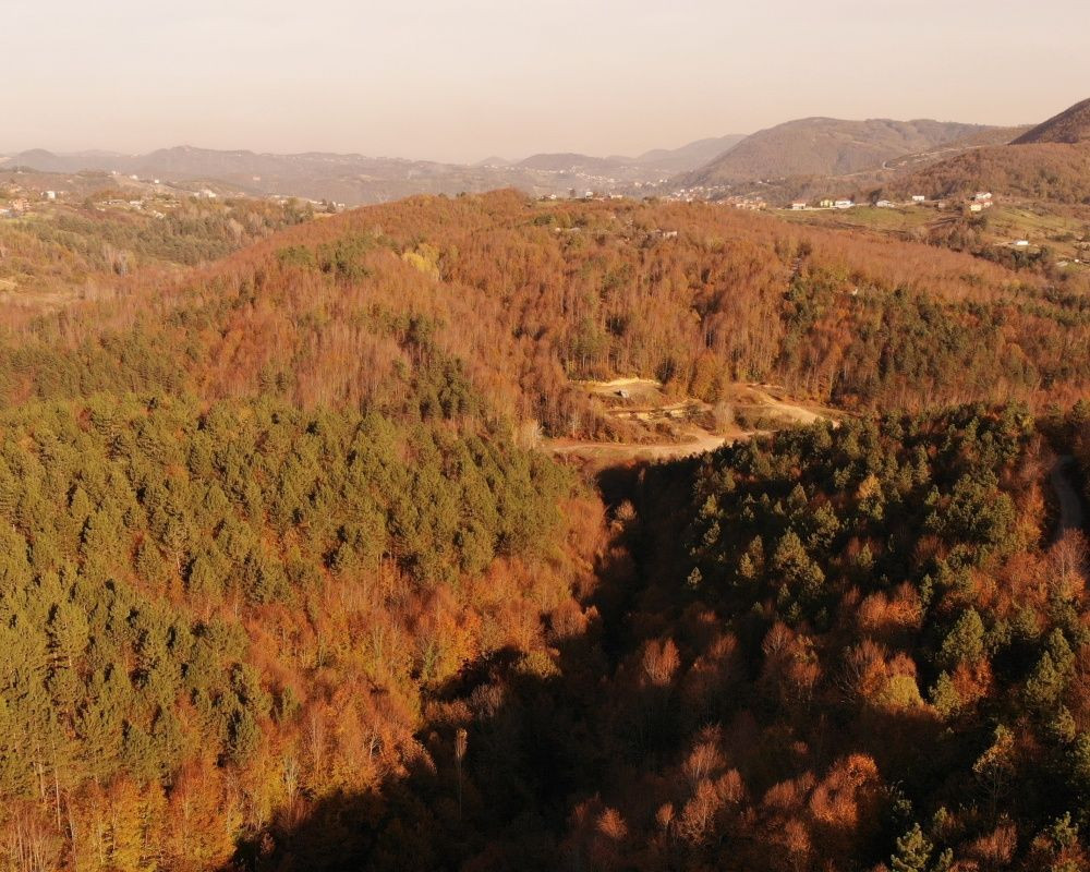 Zonguldak ormanlarındaki hazan renkleri kendine hayran bıraktırıyor - Sayfa 3