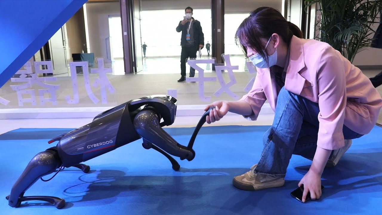 Çin, insanları yüzlerinden tanıyabilen akıllı bir robot köpek üretti!