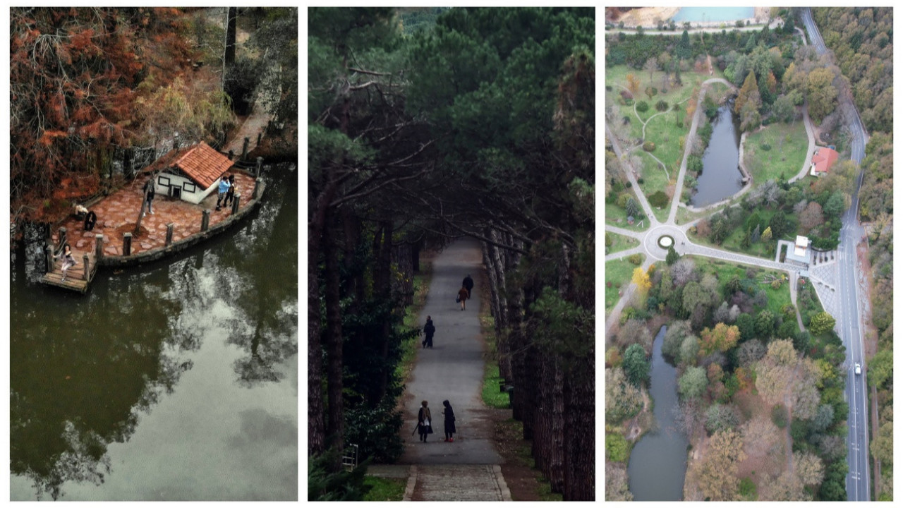 Sonbaharda İstanbul'da mutlaka görülmesi gereken bir yer: 'Canlı ağaç müzesi' Atatürk Arboretumu