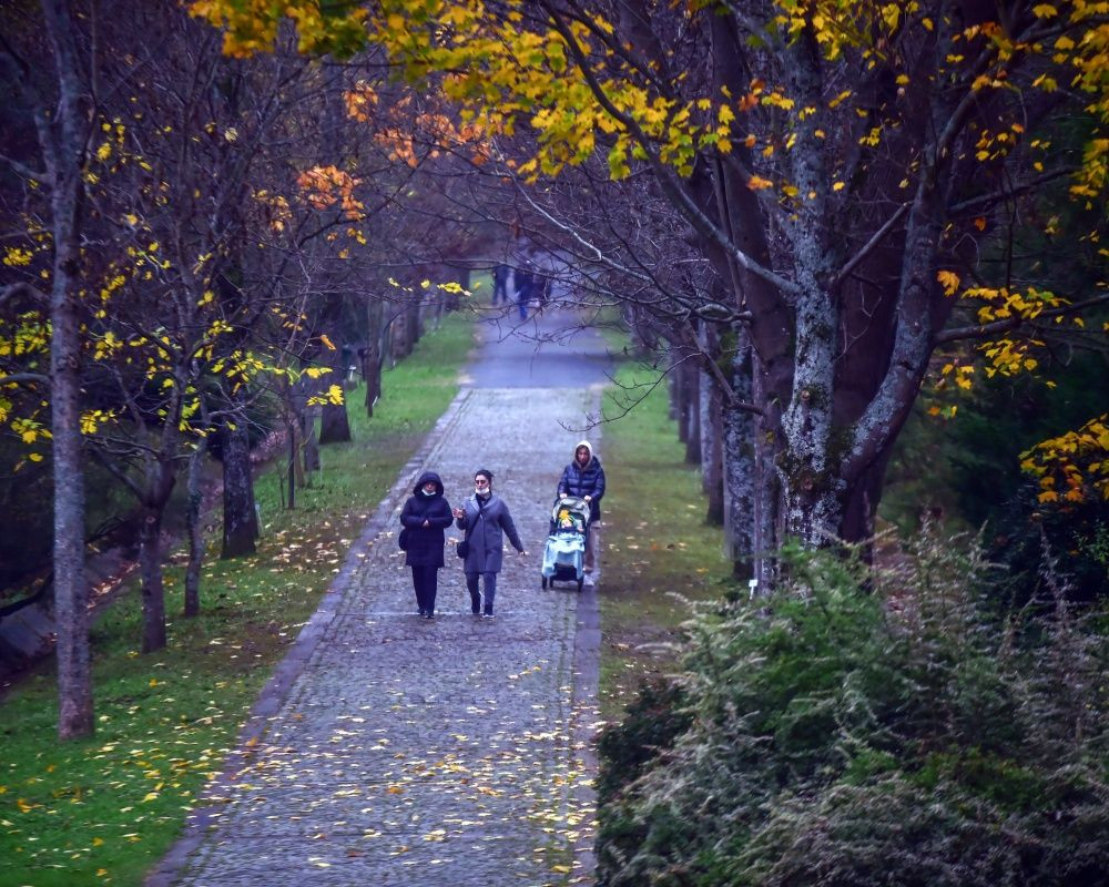 Sonbaharda İstanbul'da mutlaka görülmesi gereken bir yer: 'Canlı ağaç müzesi' Atatürk Arboretumu - Sayfa 2