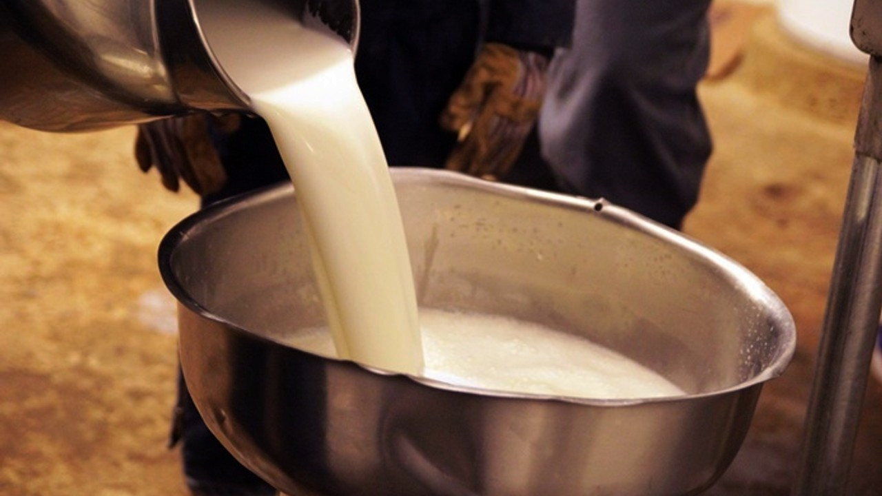Çiğ sütün litre fiyatına gelen zam üreticileri sevindirdi
