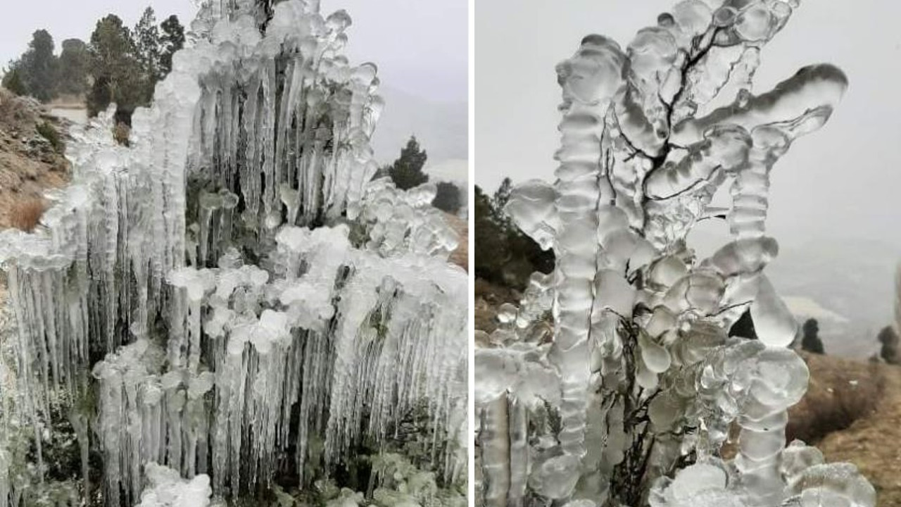 Sıcaklık eksi 10 dereceyi buldu, ağaçlarda buz sarkıtları oluştu