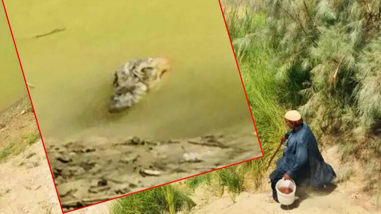 İran'da timsahlar insanlara saldırıyor: Akıalmaz su krizi!