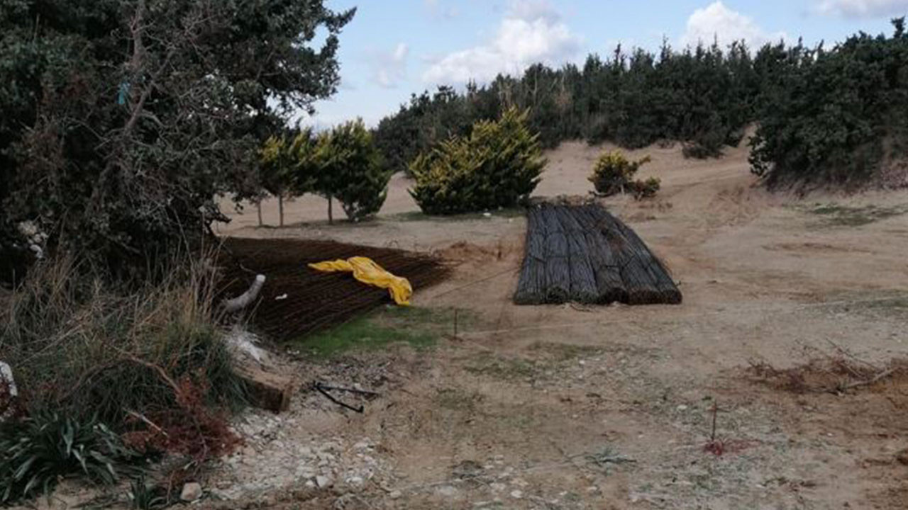 Çeşme’de asırlık ağaçlar ‘beach club’ yapmak için kesildi