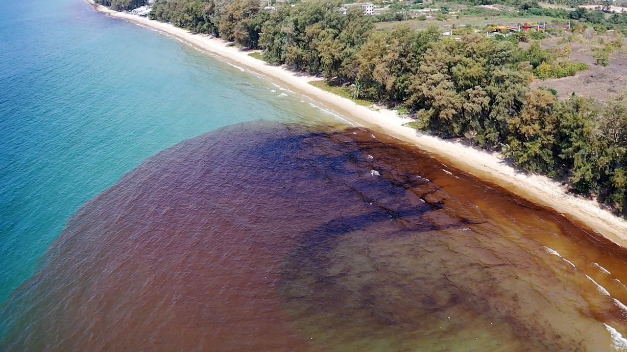 Petrol sızıntısı faciası: Dünyaca ünlü plaj 'afet bölgesi' ilan edildi