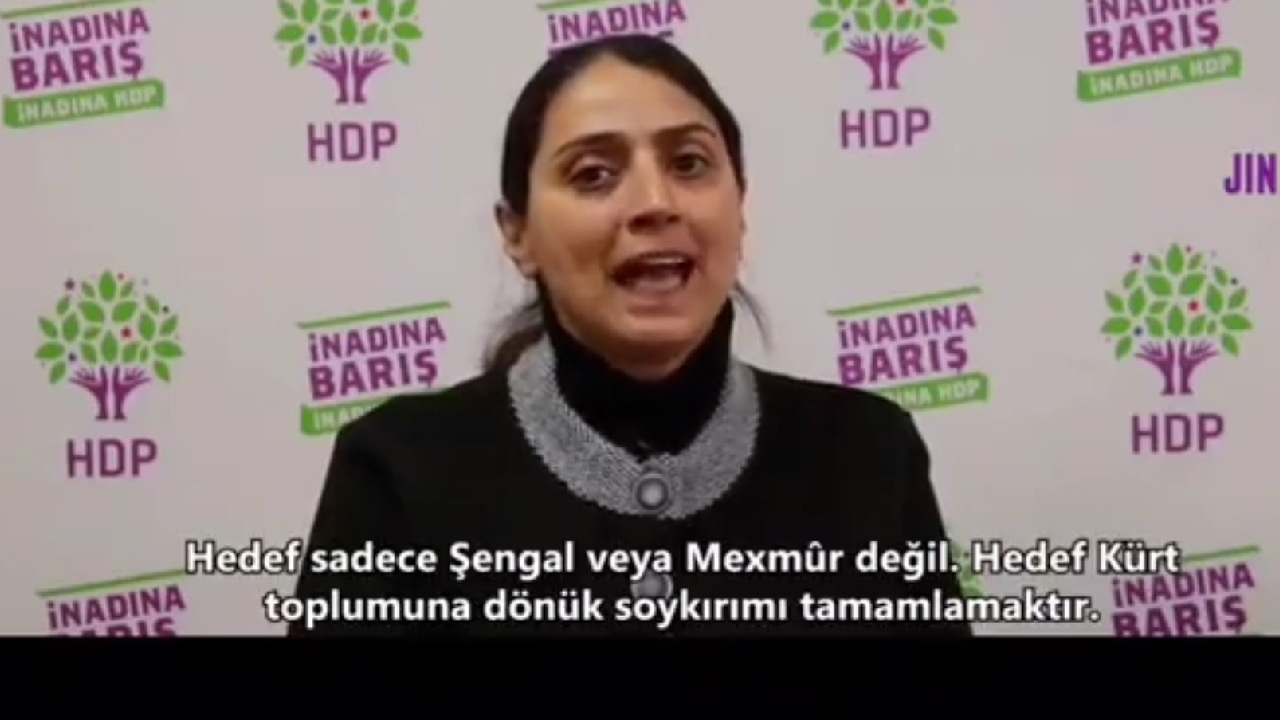 HDP'li vekil Feleknas Uca, teröristlere operasyon düzenleyen Türkiye'yi soykırımla suçladı