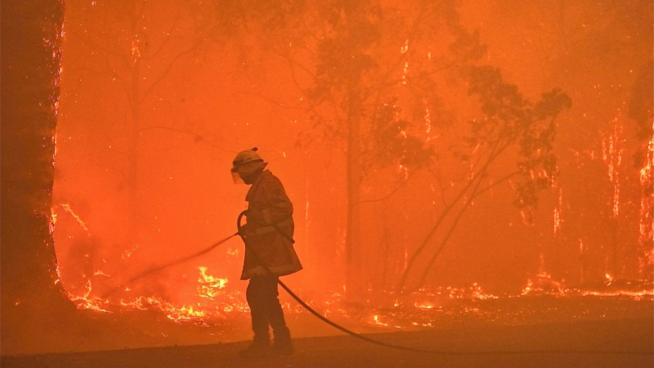4 farklı noktada çıkan orman yangınlarında 69 bin hektar alan kül oldu
