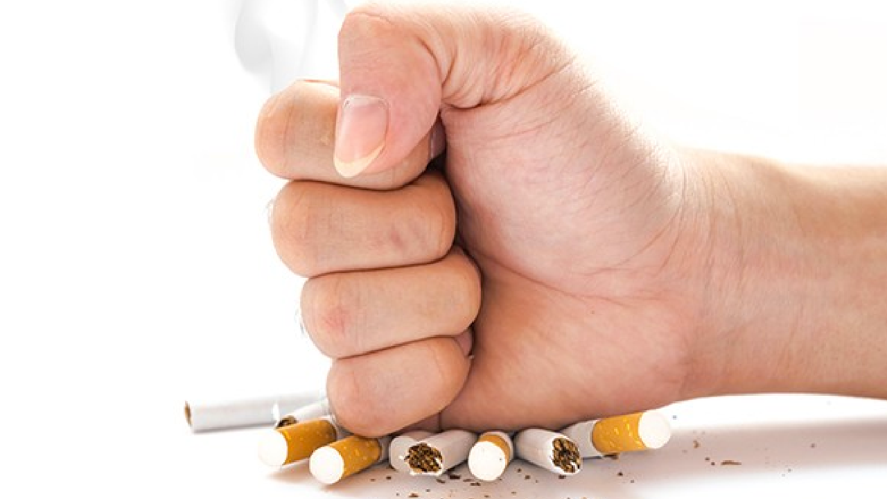 Sigara bırakmak isteyenlere nikotin alternatifi: Patlıcan
