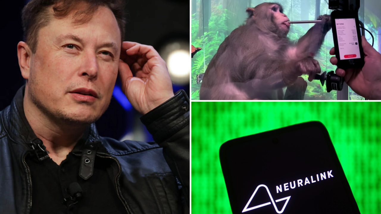 Elon Musk'ın yürüttüğü Neuralink'in testlerine giren 23 maymundan 15'i öldü!