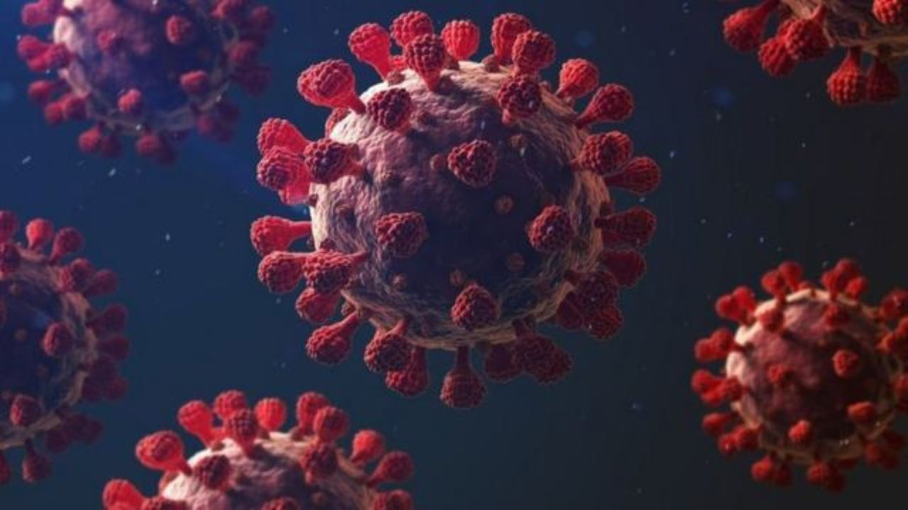 Bilim Kurulu Üyesi Özlü' den açıklama: ''Virüs gücünü kaybediyor''