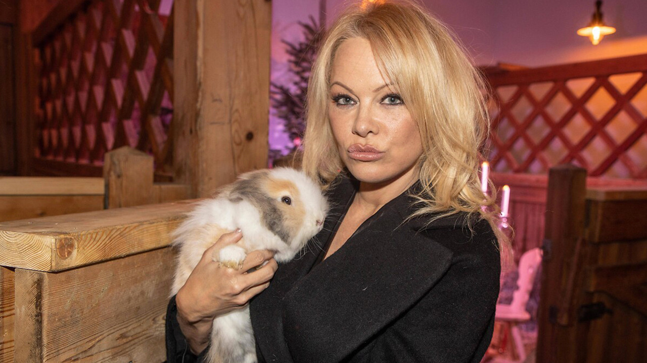 Pamela Anderson'ın gerçek hikayesi Netflix'te belgesel olarak yayınlanacak