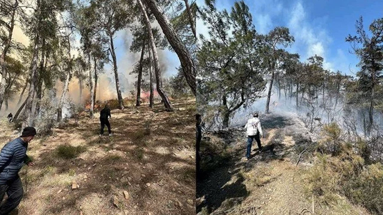 Fethiye'de orman yangını: Çok sayıda ekip sevk edildi