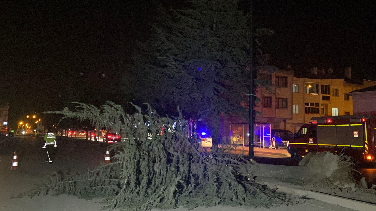 Bursa'da lodos fırtınası! Ağaçlar ve tuğlalar araçların üzerine devrildi