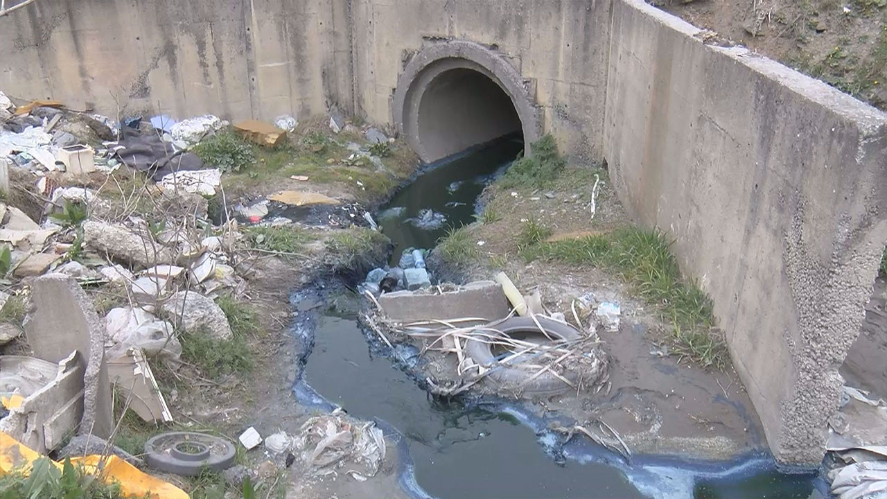 Alibeyköy Barajı'na su sağlayan dere tehlike saçıyor: Adeta zehir akıyor