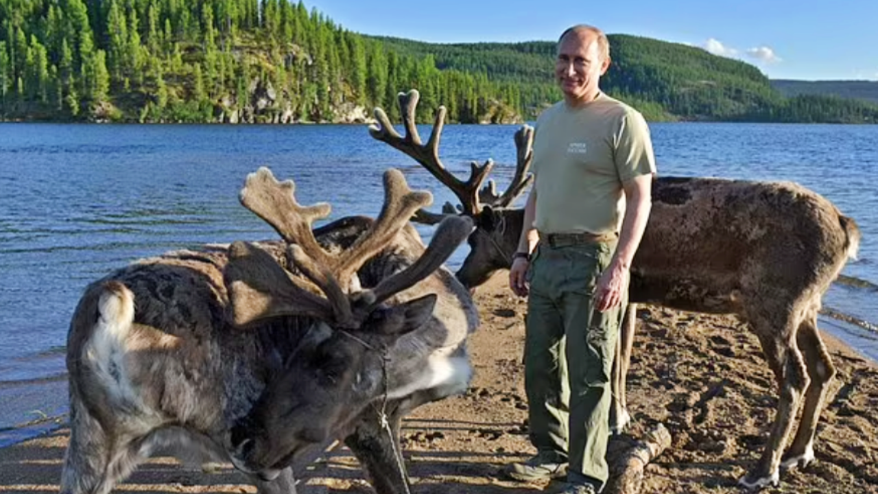 Putin, erkekliği artırdığına inanılan geyik boynuzu kanıyla yıkanıyor!