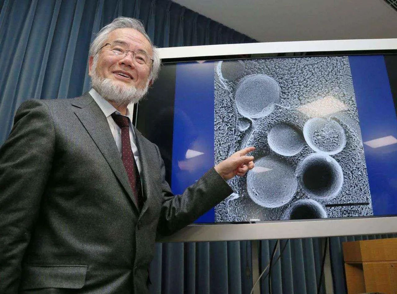 Nobel ödüllü Japon bilim insanından oruç açıklaması: Harikulade bir tasarım - Sayfa 2