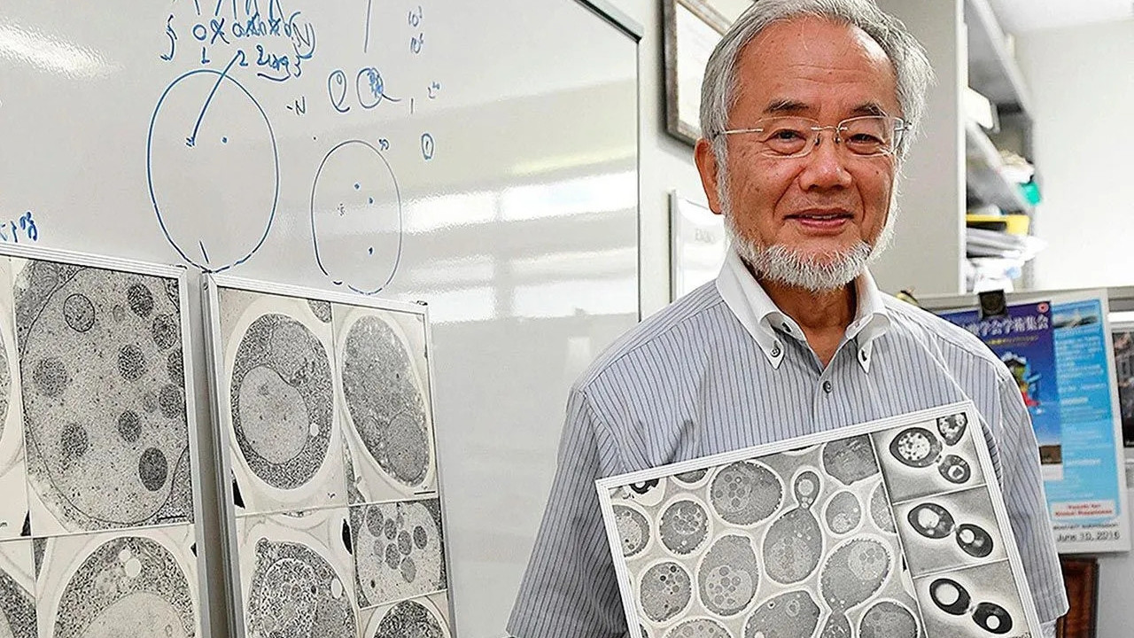 Nobel ödüllü Japon bilim insanından oruç açıklaması: Harikulade bir tasarım