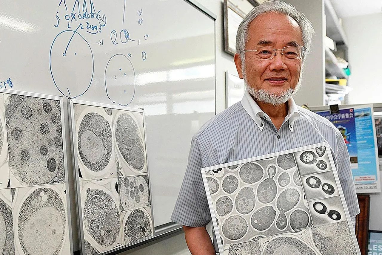 Nobel ödüllü Japon bilim insanından oruç açıklaması: Harikulade bir tasarım - Sayfa 1