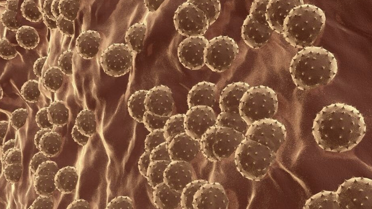 Gizemli hepatit virüsü yayılmaya devam ediyor: Uzmanlar merak edilen 7 soruyu yanıtladı