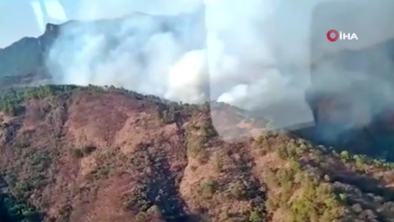 Meksika'da çıkan orman yangınında 2 itfaiyeci yaşamını yitirdi!