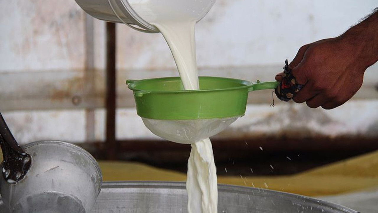Toplanan inek sütü miktarı yüzde 4 azaldı