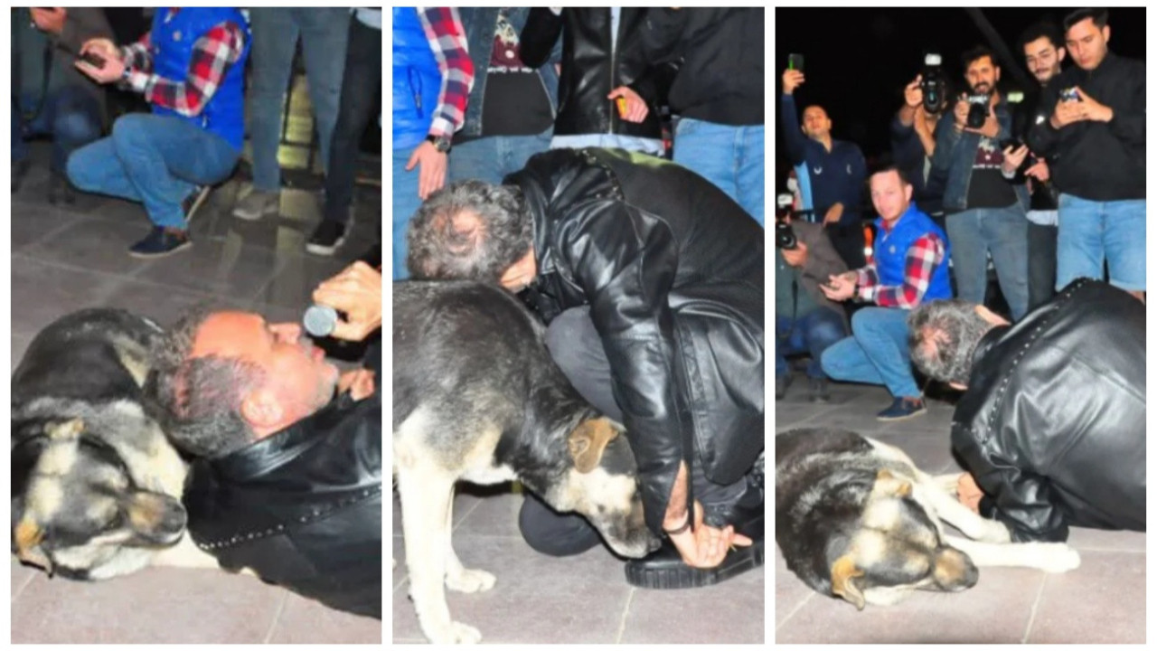 Manisa'da konser veren Haluk Levent sokak köpeğiyle yere uzanıp şarkı söyledi