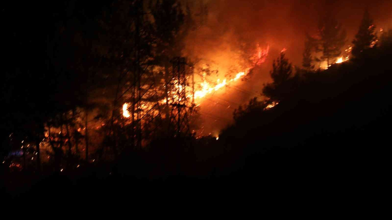 Alanya’da gece saatlerinde orman yangını!