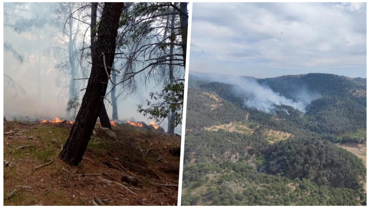 İzmir'in Urla ve Dikili ilçelerinde orman yangını