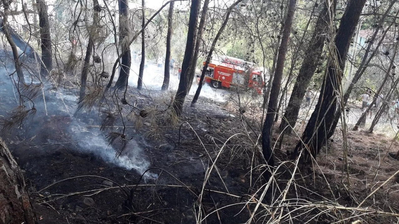 Fethiye'de yıldırım düşmesi sonucu orman yangını çıktı!