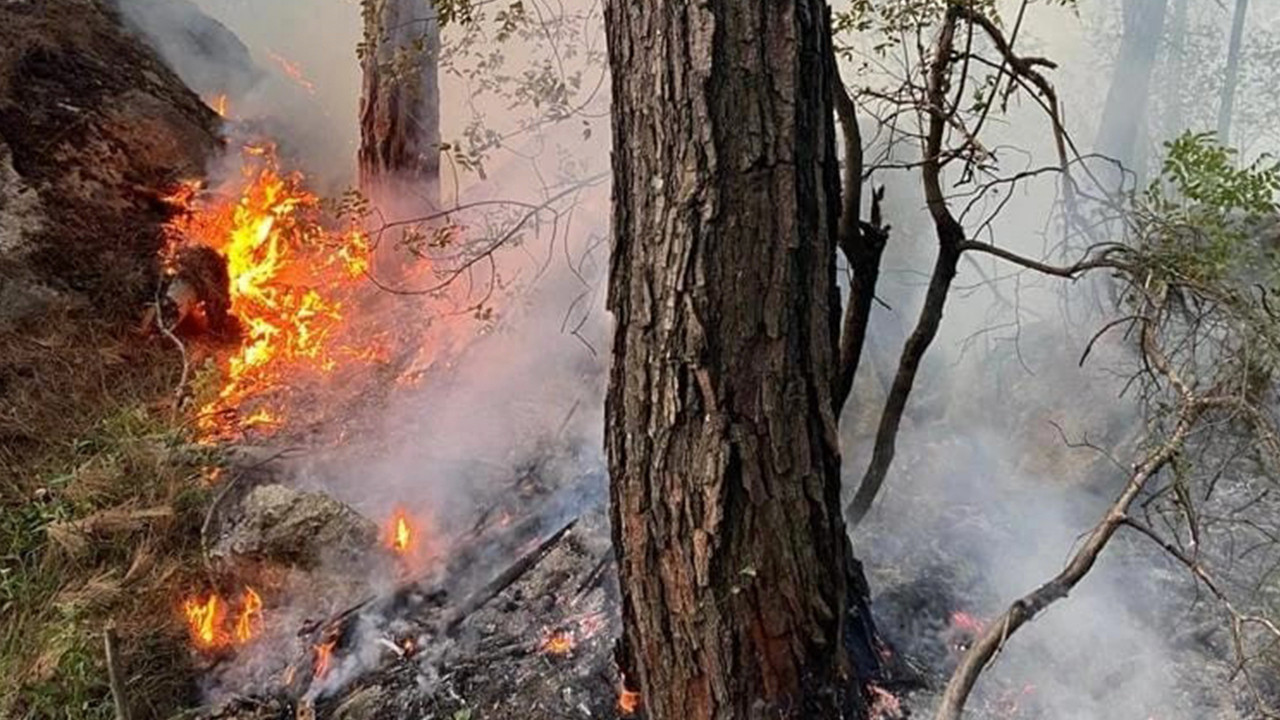 Antalya'da orman yangını: Büyümeden kontrol altına alındı