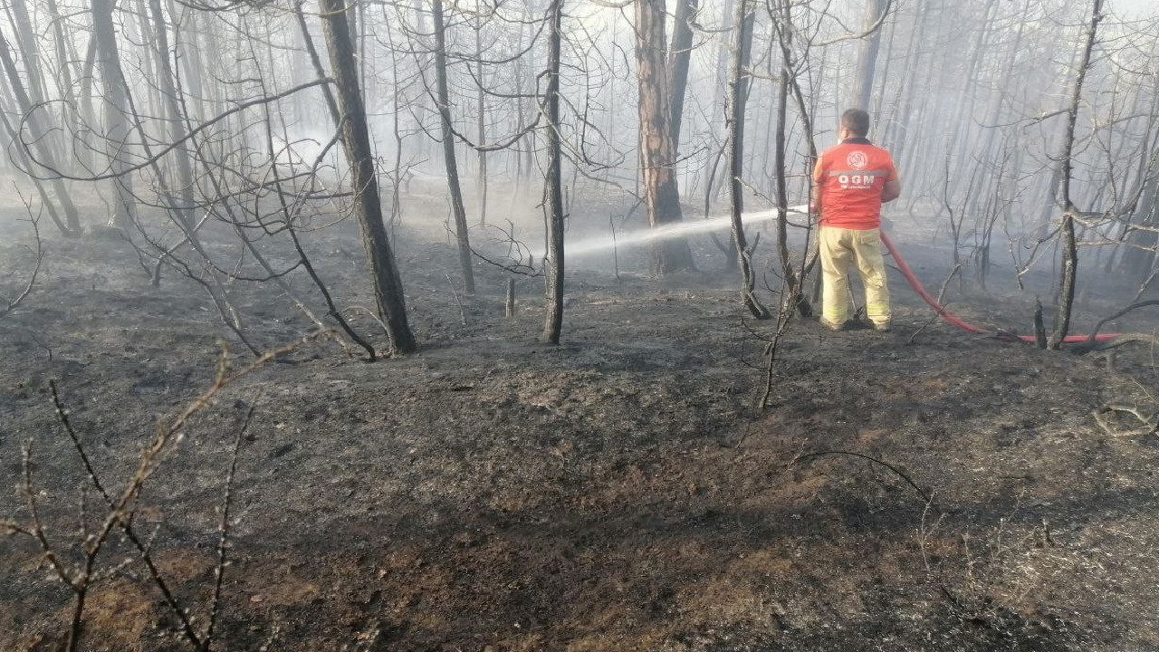 Bolu’daki orman yangını kontrol altında! 8 hektarlık çam zarar gördü