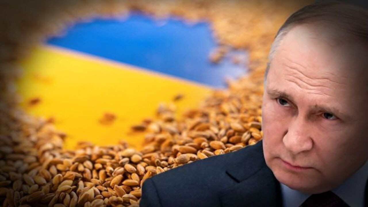 Putin'den tahıl krizine çözüm önerisi: Belarus üzerinden ihraç edilebilir