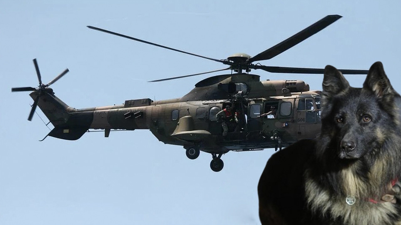Mehmetçiğimizi koruyordu! PKK’lıların vurduğu kahraman köpek helikopterle Türkiye'ye getirildi!