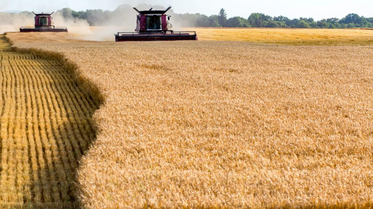 Avrupa Birliği tahıl kıtlığından Rusya'yı sorumlu tuttu