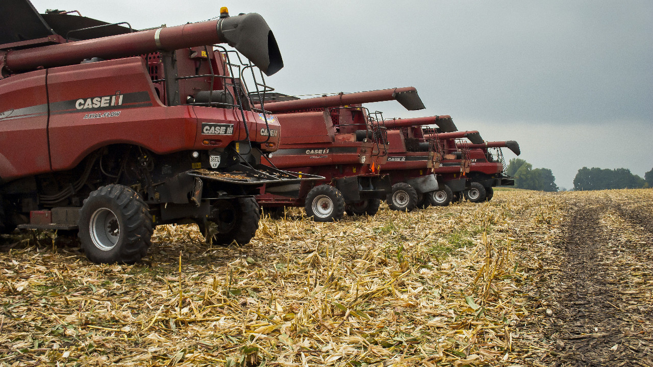 Tahıl krizi derinleşiyor! Ukrayna, ekilebilir tarım alanlarının yüzde 25’ini kaybetti, hasat yarıya düşecek
