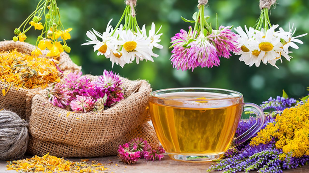 Strese karşı birebir 6 bitki çayı