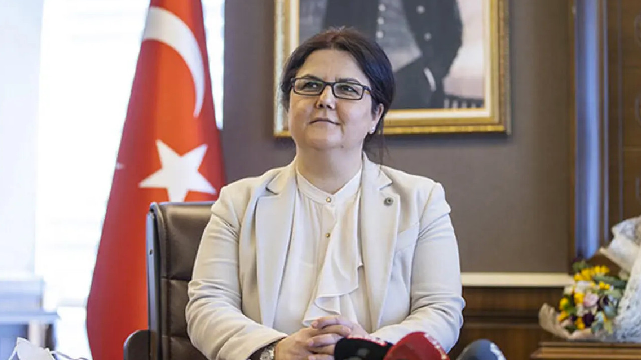 Türkiye yazarı, İstanbul Sözleşmesi sözleri çarpıtılan Bakan Yanık'a yüklendi