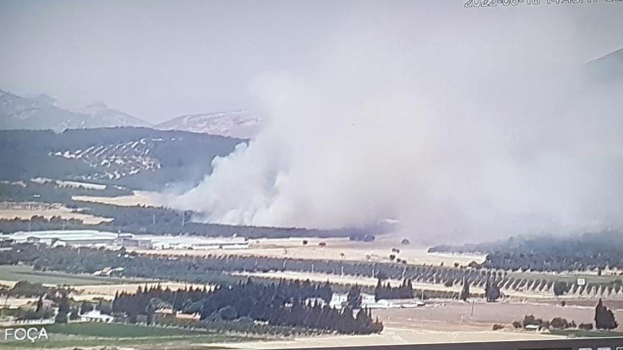 Foça'da orman yangını: Havadan ve karadan müdahale ediliyor