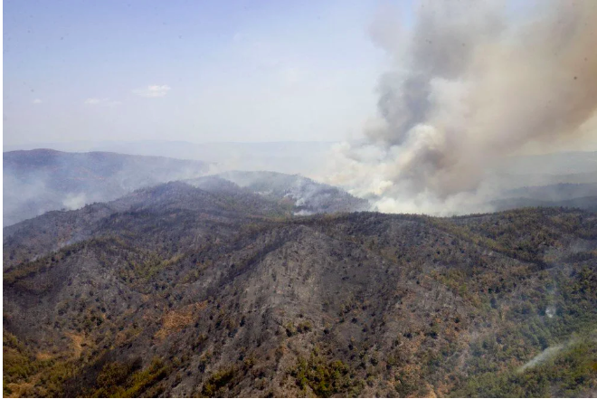 Marmaris'teki yangın devam ediyor: Yanan orman havadan böyle görüntülendi - Sayfa 1