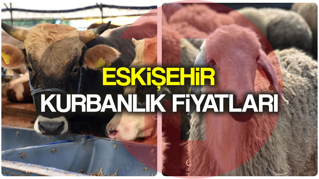 Eskişehir kurbanlık fiyatları 2022! Eskişehir'de dana, tosun, koç, koyun hisse fiyatı