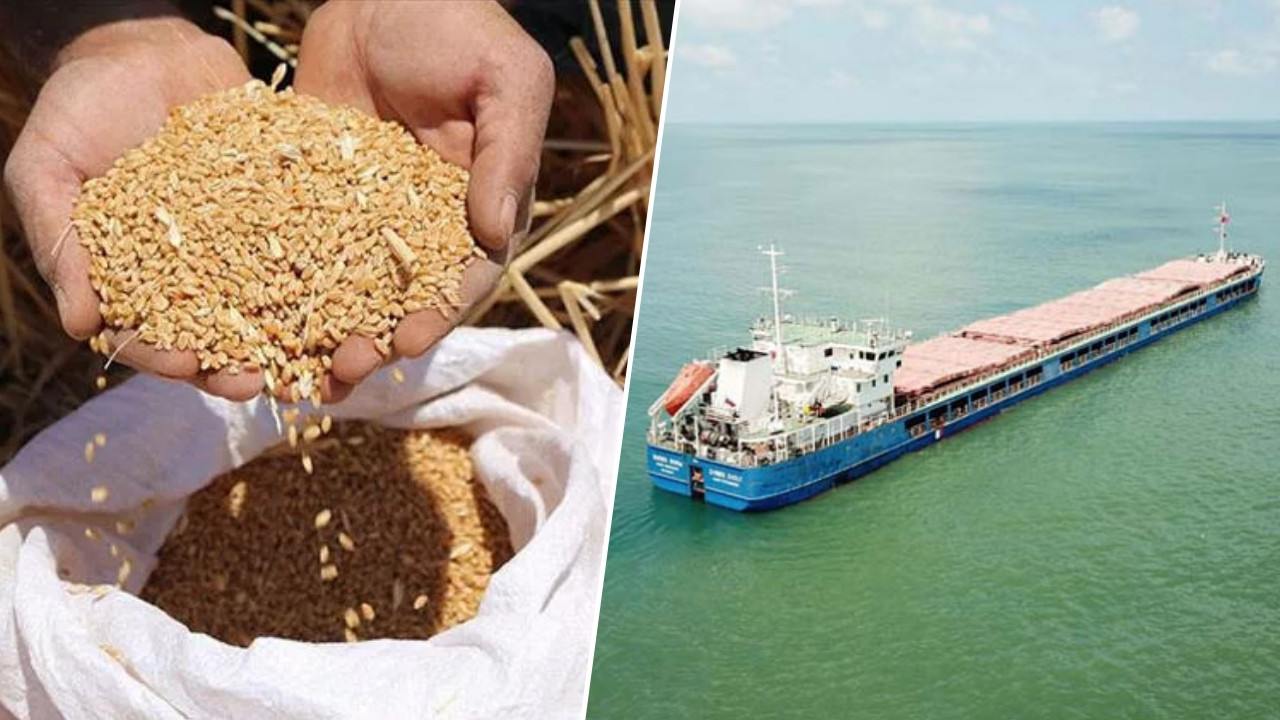 Buğday krizini çözecek gelişme: Rusya'nın tahıl yüklü gemisi Sakarya'nın Karasu Limanı'na ulaştı!