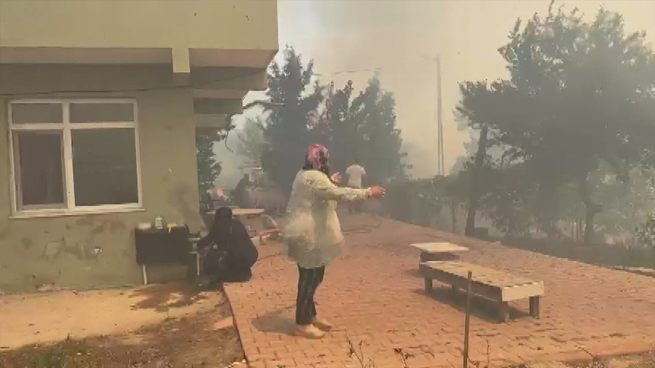 Beykoz'da orman yangını çıktı: Çok sayıda ekip sevk edildi, yangın kontrol altına alındı