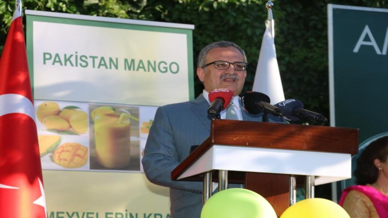 Ankara'da düzenlenen Mango Festivali'nden renkli görüntüler